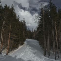 unsplash.com/@eberhardgross