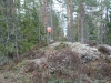 kuvituskuva